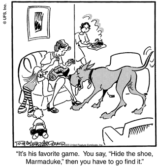 marmaduke
